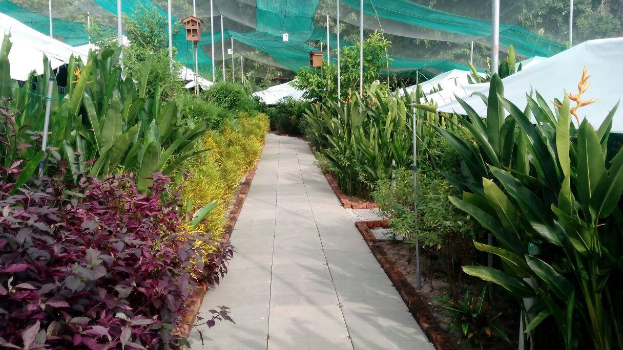 T Garden Villa Pantai Cenang  Bagian luar foto