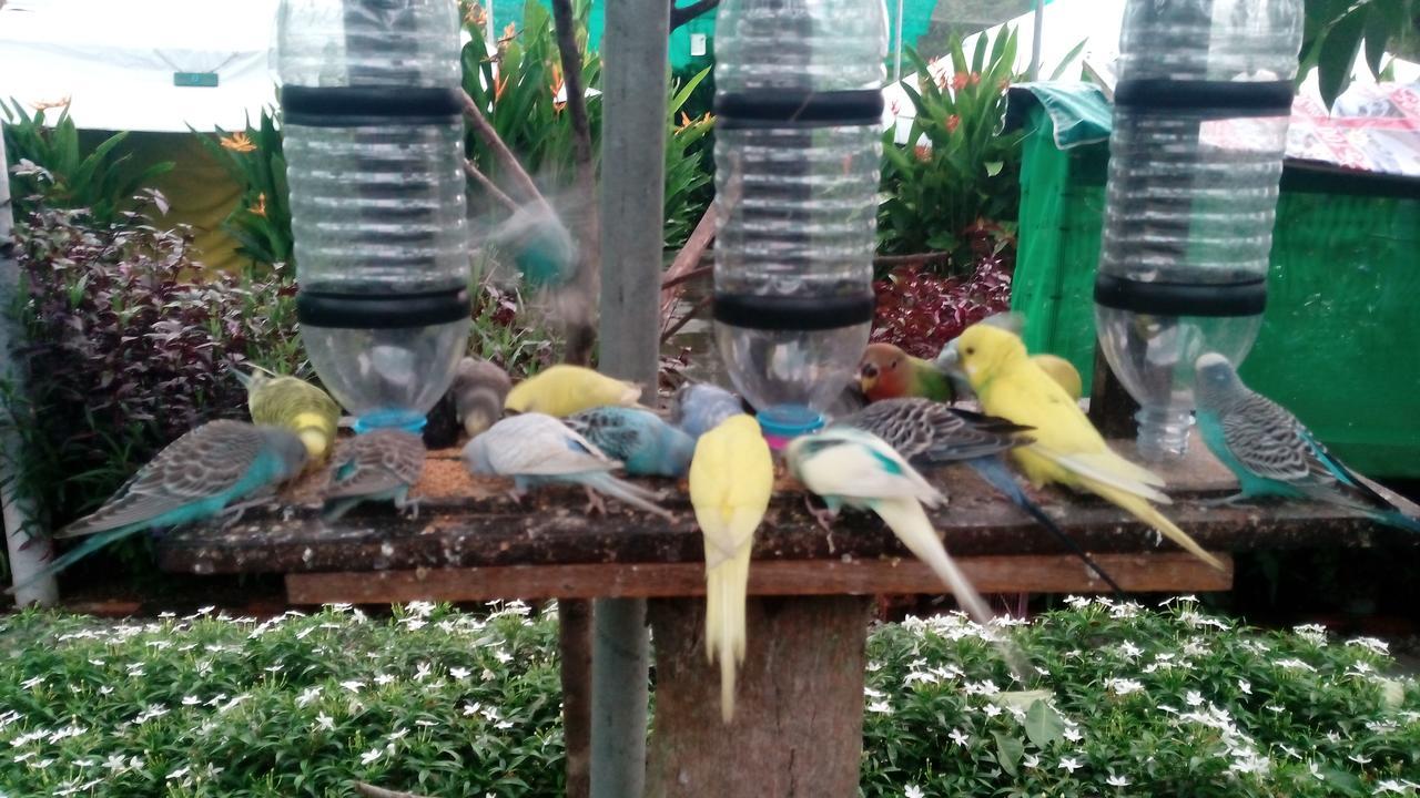 T Garden Villa Pantai Cenang  Bagian luar foto