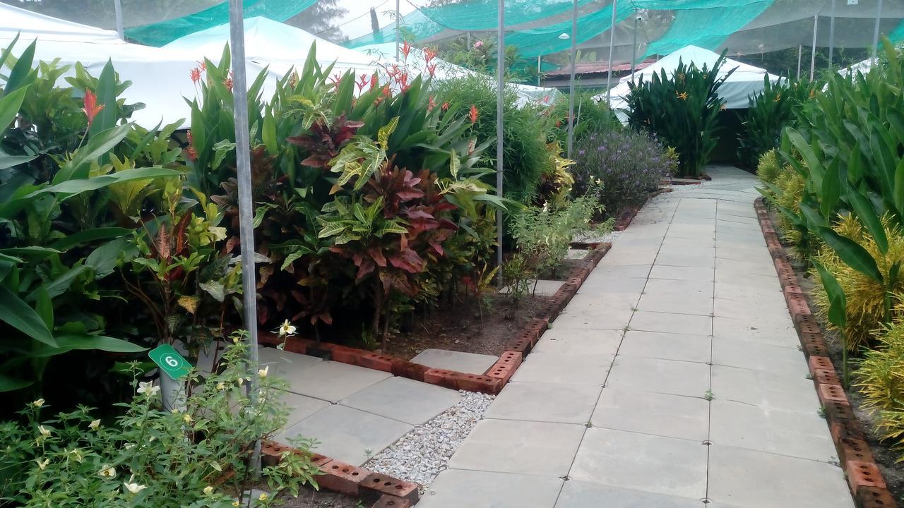 T Garden Villa Pantai Cenang  Bagian luar foto