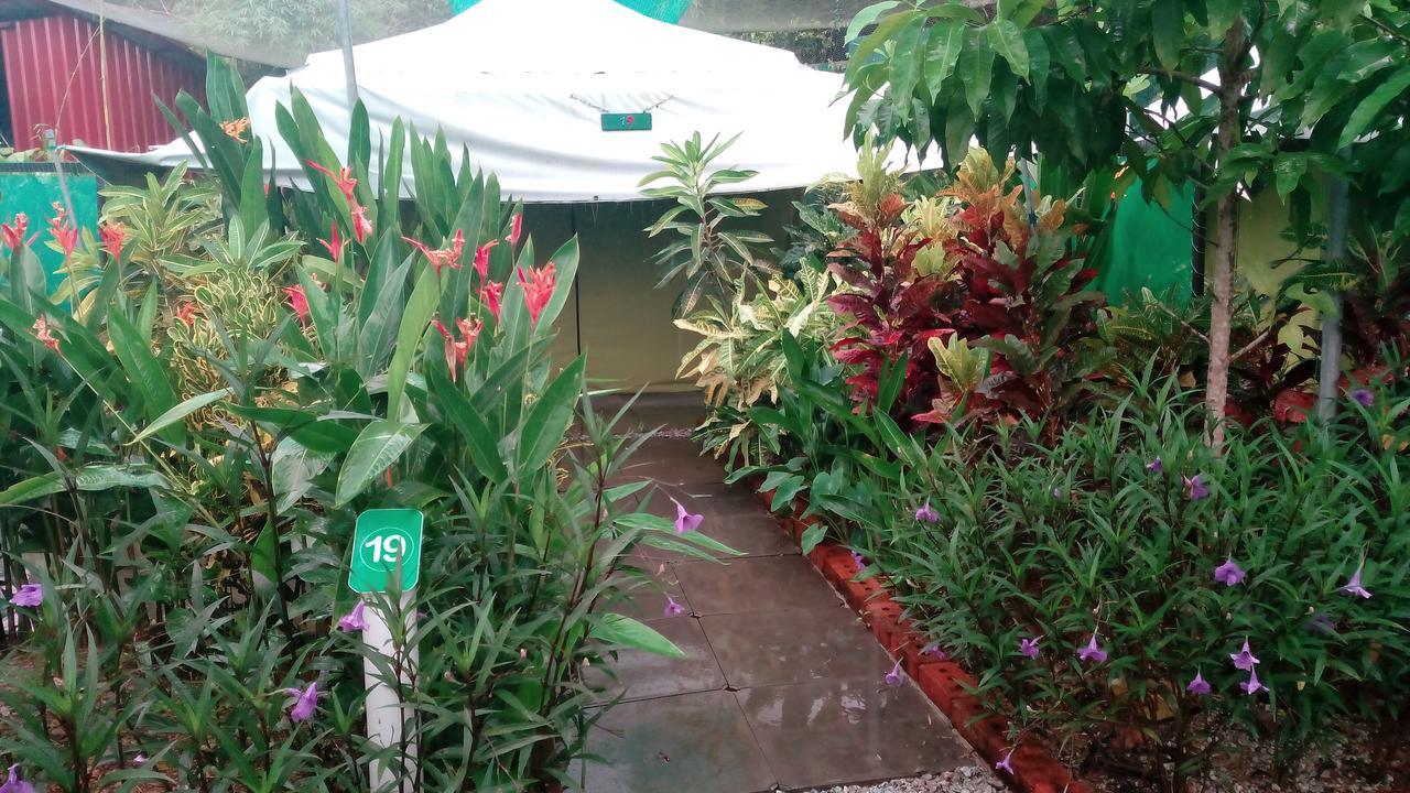 T Garden Villa Pantai Cenang  Bagian luar foto