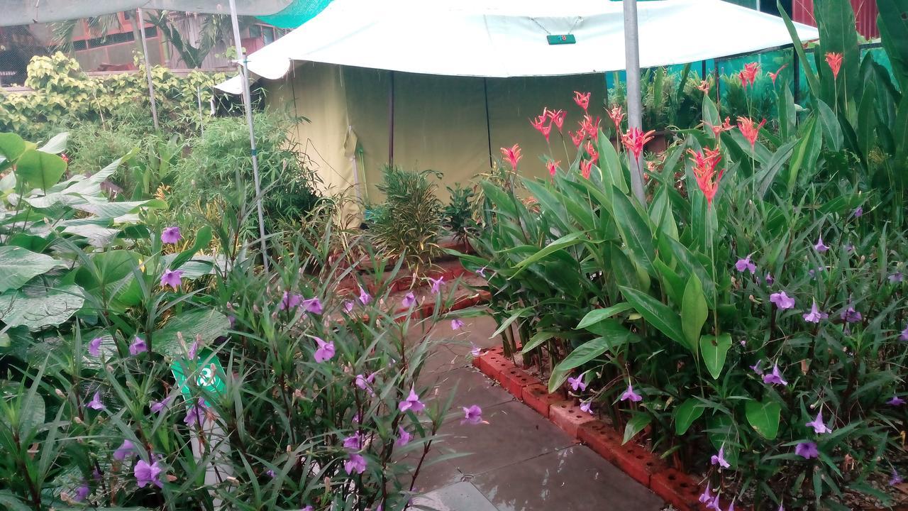 T Garden Villa Pantai Cenang  Bagian luar foto
