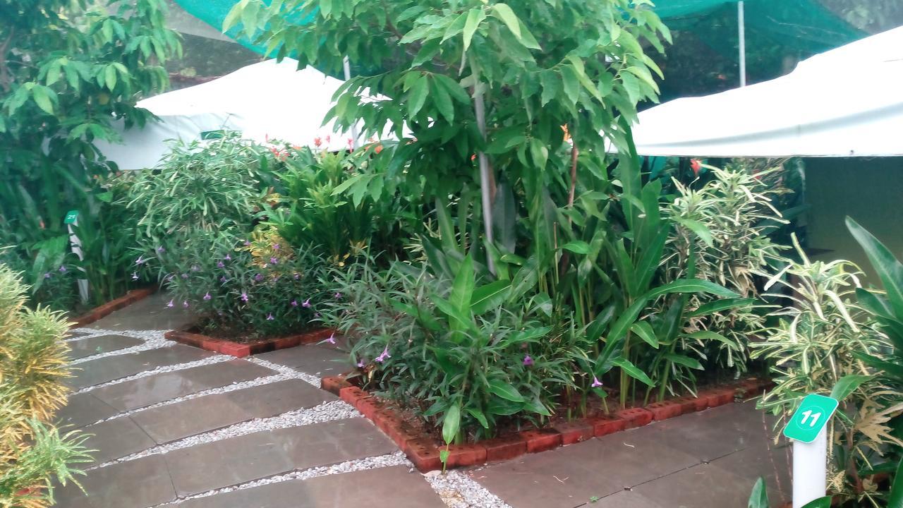 T Garden Villa Pantai Cenang  Bagian luar foto